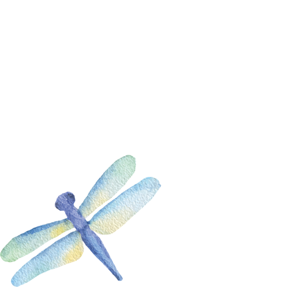 Lakeview Trails & Lake